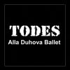 Танцевальная школа "TODES Plaza"